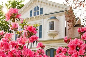 华夏幸福大获全胜，教练组欣喜若狂