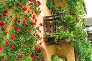 浴血奋战！中国女足在比赛中顽强拼搏